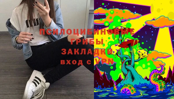 не бодяженный Вяземский