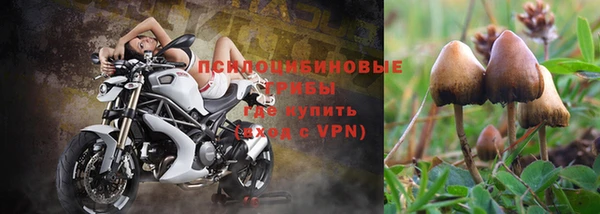 не бодяженный Вяземский